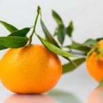 Clementine thumb
